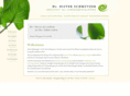 dieter-schmutzer.at