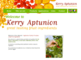 kerryaptunion.com