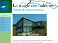 lamagiedesbaleines.com