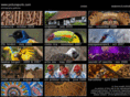 picturepunk.com