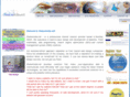 shalomindia.net