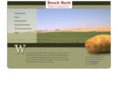 benchmarkpotato.com