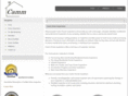 camminspections.com