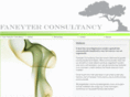 faneyterconsultancy.com