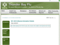 fluthunderbay.com