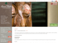 napuagallery.com
