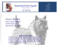 registeredcairnpuppies.com