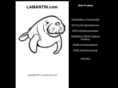 lamantin.com