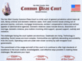 vwcommonpleas.org