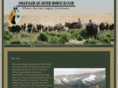 zollingerquarterhorseranch.com