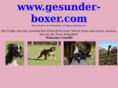 gesunder-boxer.com