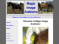 magicimagearabians.com