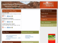 mining-silver.com