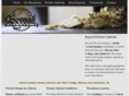 beyondkitchencabinets.com