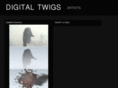 digitaltwigs.com