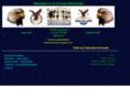 eaglesclub.org