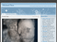 wickedrice.com