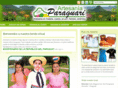 artesaniaparaguari.com