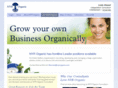 holisticbiz.com