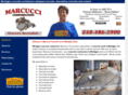 marcucciconcrete.com