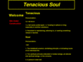 tenacioussoul.com