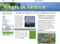 yungasdevandiola.org