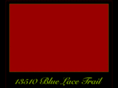 13510bluelace.com