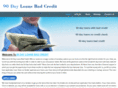 90dayloansbadcredit.com