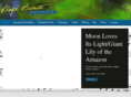 lloydburritt.com