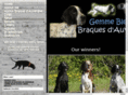 braque-d-auvergne.net