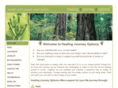 healingjourneyoptions.com