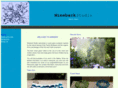 ninebarkstudio.net