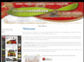 rugby-website-design.com