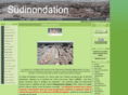 sudinondation.com