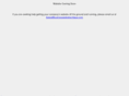 businesswebsitecritique.com