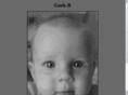 fincork.net