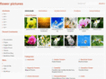 flowerpics.net
