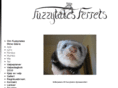 fuzzytalesferrets.com