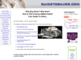 guidetosilver.com