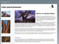 kubuisland.com