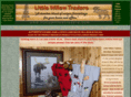 littlewillowtraders.com