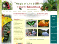 magicoflife.org
