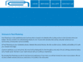 pearlplastering.com