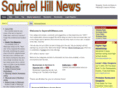 squirrelhillupdates.org