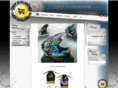 storeavalanche.com