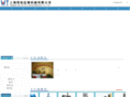 vtyz.com
