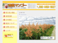 miyakojima-mango.com