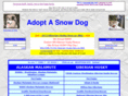 adoptasnowdog.com