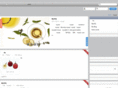 amyzq.com