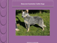 beauvestcattledogs.com